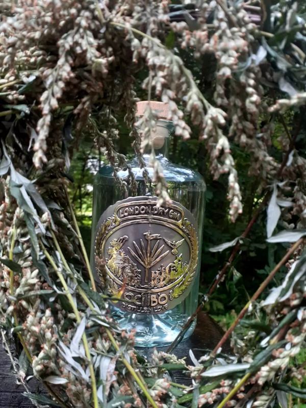 Gin Coi Ibo ginecology blog made in italy